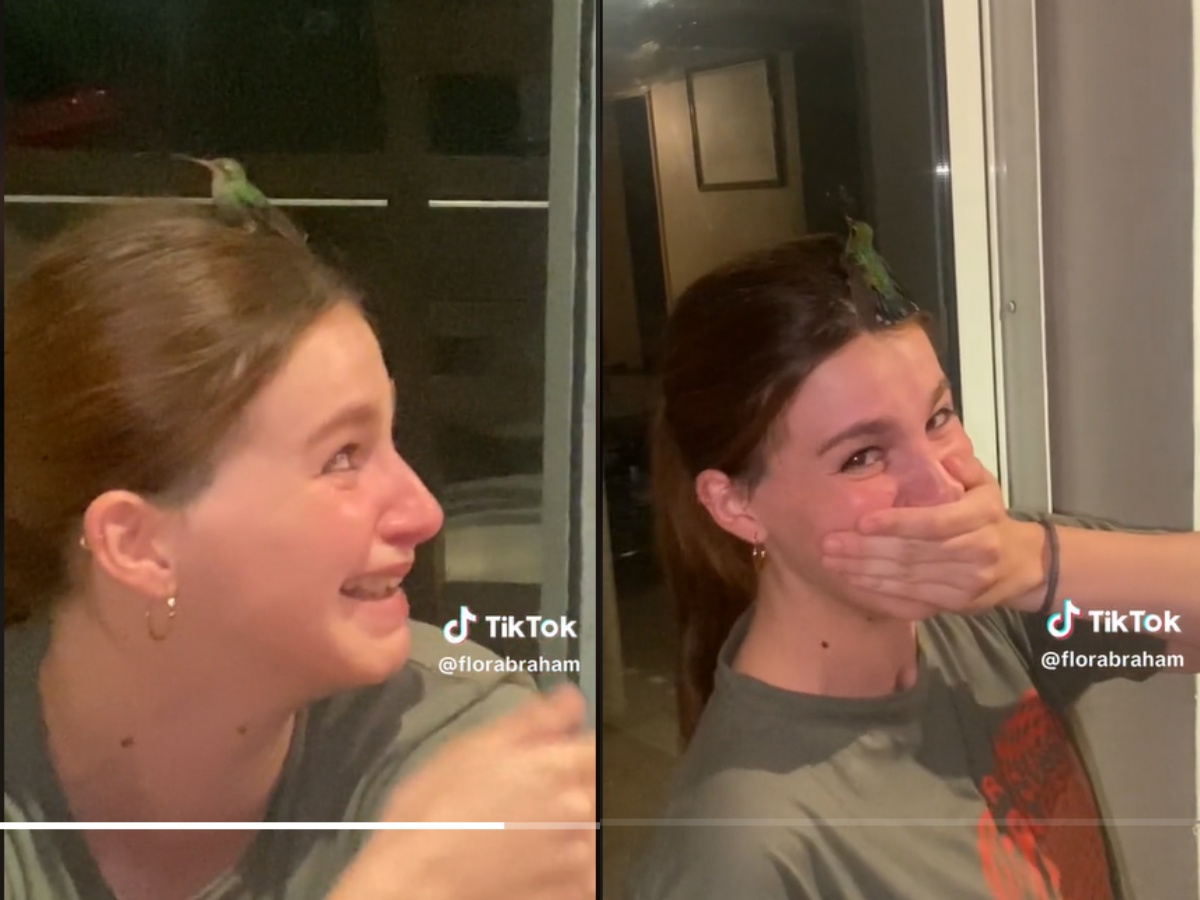 A hummingbird lands on a woman's head